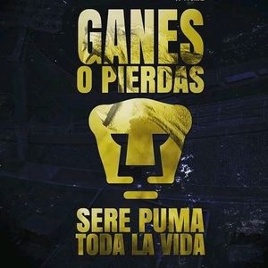 Meet your Posher, Eli